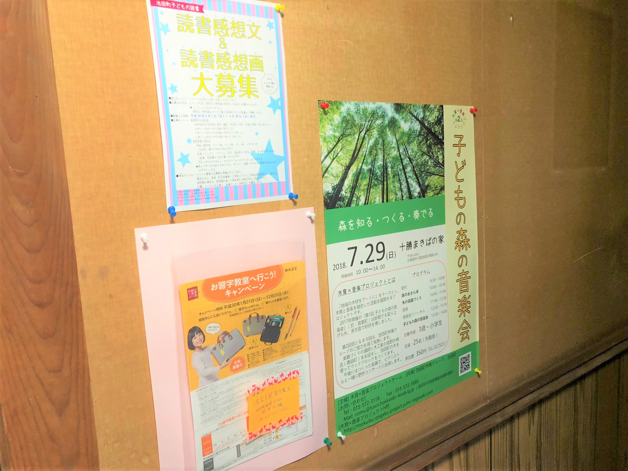 読書感想文＆読書感想画