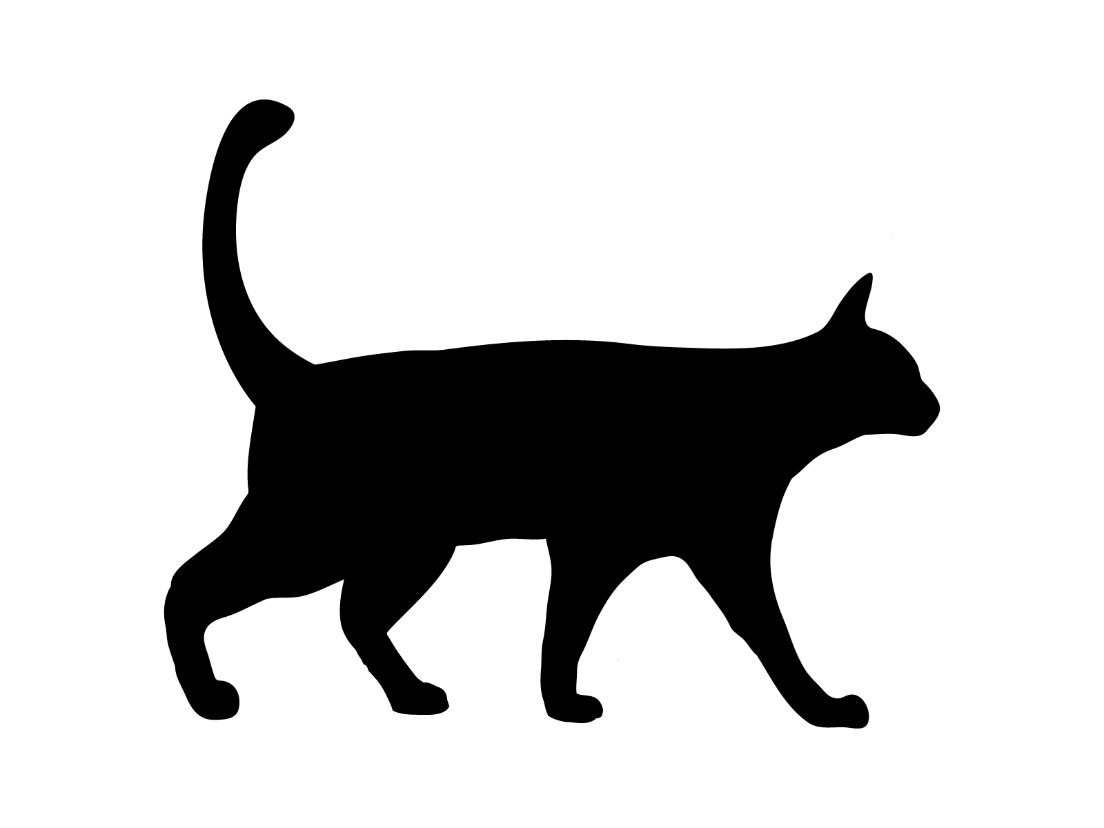 猫のシルエット